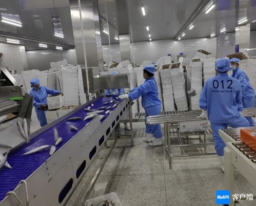 文昌約亭產(chǎn)業(yè)園發(fā)展駛上快車道，打造產(chǎn)業(yè)新高地